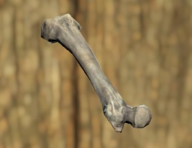 Fallout 76_20181222222230.jpg