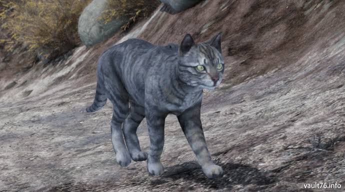 ネコ Fallout 76 フォールアウト76 日本語攻略 Wiki ネコ Fallout 76 フォールアウト76 日本語攻略 Wiki