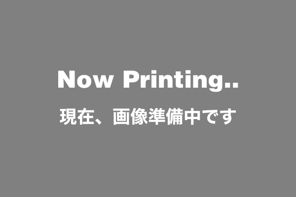 Now Printing.gif