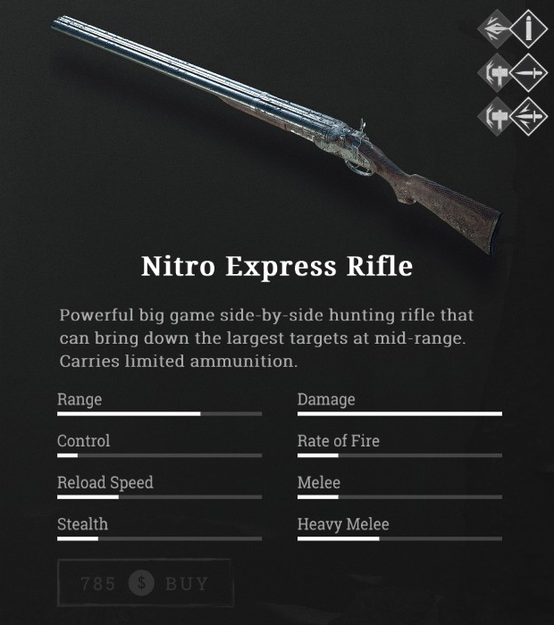 Nitro Express Rifle