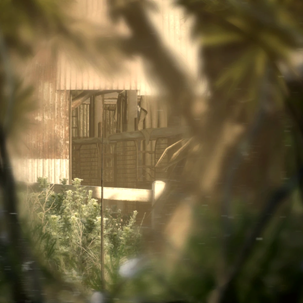 Surveillance_Photograph.jpg