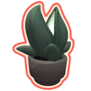 Interstellar_Desk_Plant_0.png