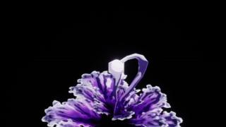 Benthic Bloom
