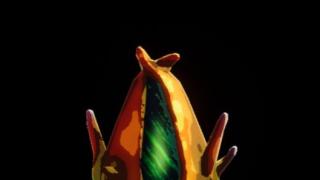 Seed of Life