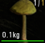 Amanita Phalloides.png