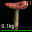 Amanita_Muscaria.png