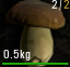 Boletus Edulis.png