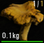 Cantharellus Cibarius.png