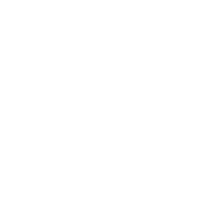 VC2_Icon.webp
