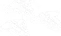 RafaTree-PeoplePerson-Row-4-Passive-DroneDefense.webp