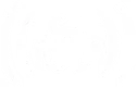VexTree-TheFourthSeal-Row-4-Passive-BlightAttunement.webp