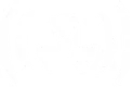 VexTree-Vexcalation-Row-4-Passive-RadiantAttunement.webp