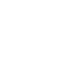 Passive_Enforcer_Rank_1.webp