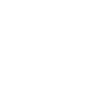Passive_Enforcer_Rank_10.webp