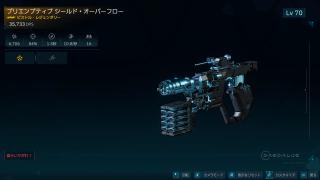 シールド・オーバーフロー