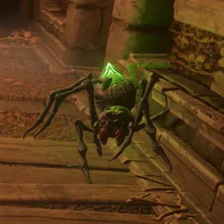 Spider.webp