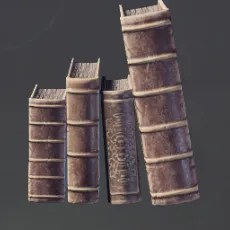 BookCollectionII.webp