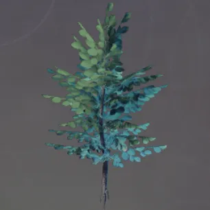 BroadleafTreeSeedling.webp