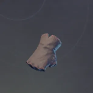 HealerGloves.webp