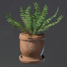 SmallFernFlowerPot.webp