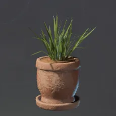 SmallGrassFlowerPot.webp