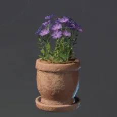 SmallPinkFlowerPot.webp