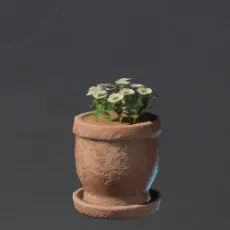 SmallWhiteFlowerPot.webp