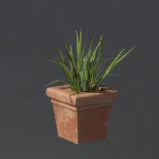 SquareGrassFlowerPot.webp