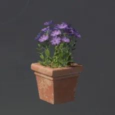 SquarePinkFlowerPot.webp
