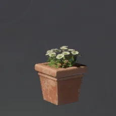 SquareWhiteFlowerPot.webp