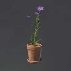 TinyPinkFlowerPot.webp