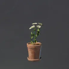 TinyWhiteFlowerPot.webp