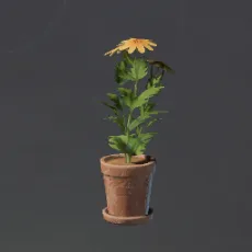 TinyYellowFlowerPot.webp