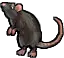 Icon_Rat.webp