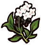 Icon_Buckwheat.webp