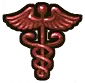 Icon_Health.webp