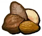 Icon_Nuts.webp