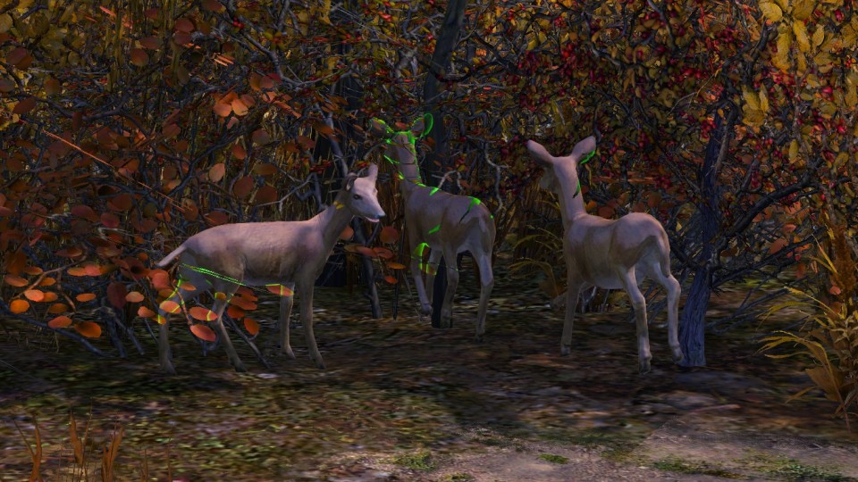 deers.jpg