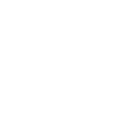 Balance.webp