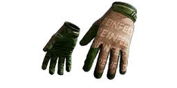 Gloves6_Variant1.webp