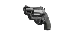 Secondary_Justicar.webp