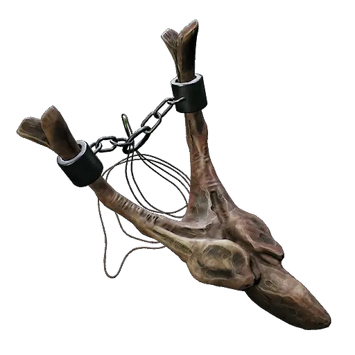 NeckboneNecklace.webp