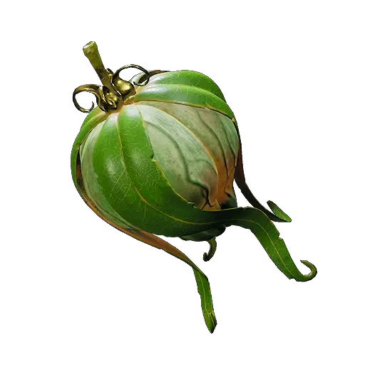 ThaenFruit_Elder.webp