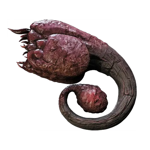RootGanglia.webp