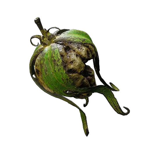ThaenFruit_Rotten.webp