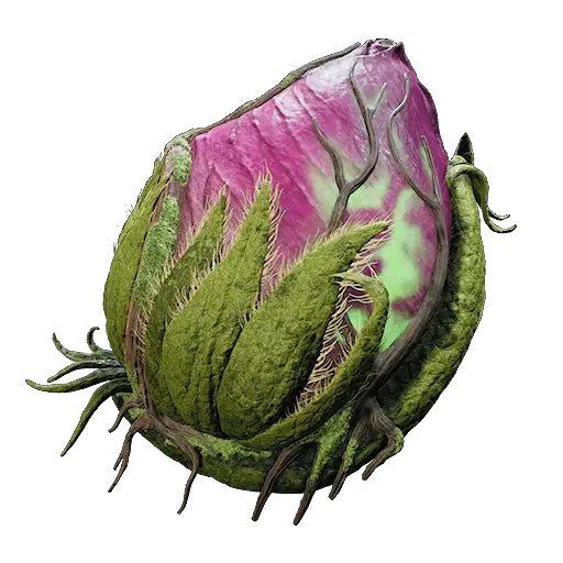 BloomingHeart.webp