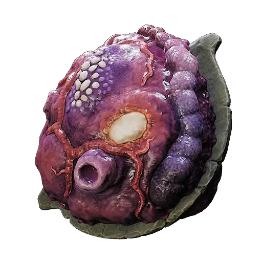 EnlargedHeart.webp