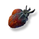 Sulheart.webp