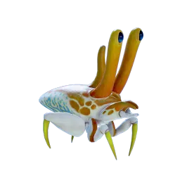 Anemonecrab_01.webp