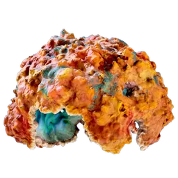 CoralDome.webp